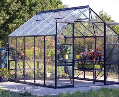 Vitavia 8x10 Black Phoenix 8300 Toughened