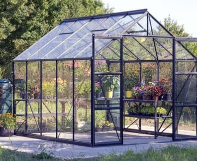 Vitavia 8x10 Black Phoenix 8300 