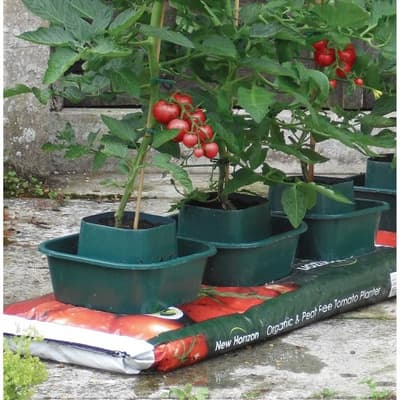 Greenhouse Growbags