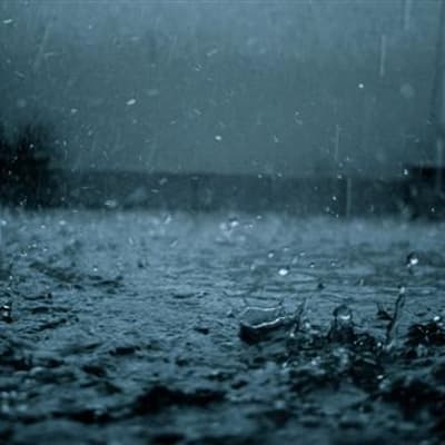How to Protect Your Greenhouse from Bad Weather