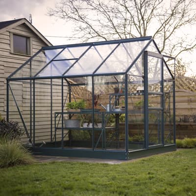 Vitavia 8x6 Green Venus 5000