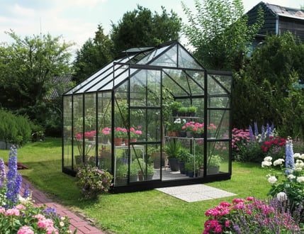 Vitavia Jupiter Green 8x14 Greenhouse