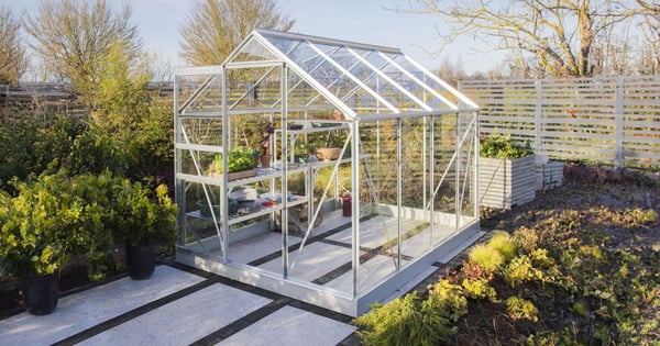 Aluminium greenhouse in a UK garden