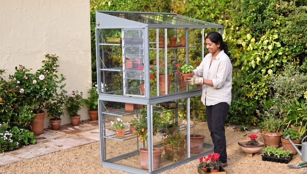 The best mini greenhouses for small UK gardens