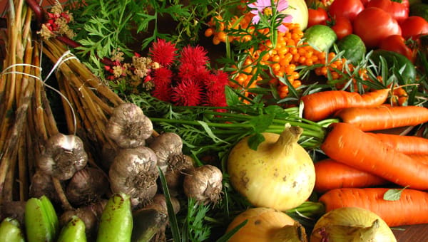 Growing Your Own Vegetables