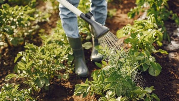 Gardening Jobs for March