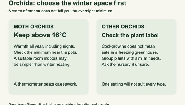 How to Grow Orchids In Your Greenhouse