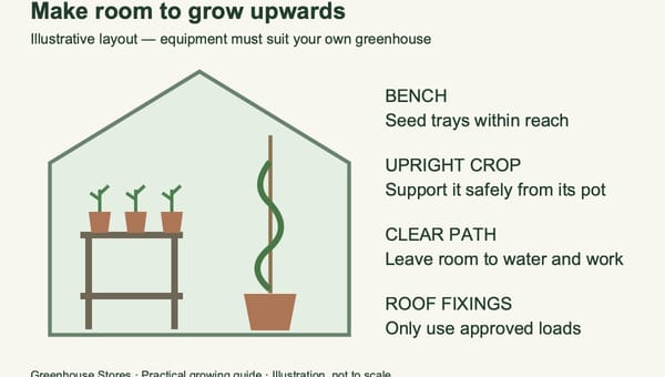 Vertical Greenhouse Gardening UK: How to Grow Up, Not Out