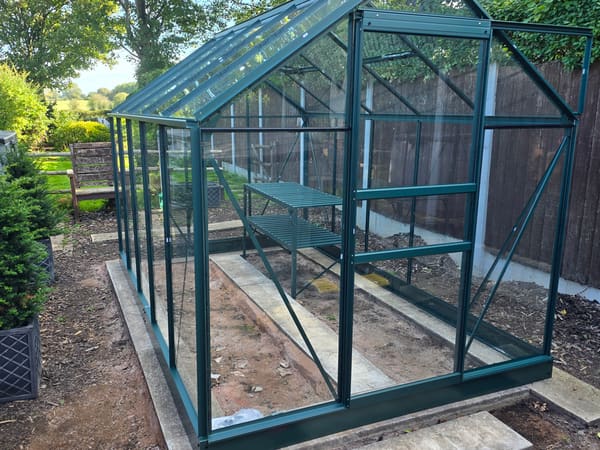 Vitavia 6x10 Green Venus greenhouse installed by our team.