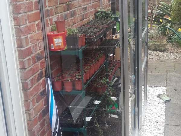 Customer greenhouse photo