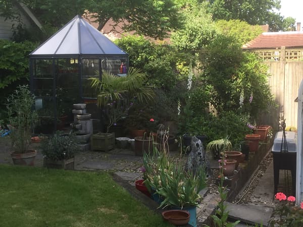 Customer greenhouse photo