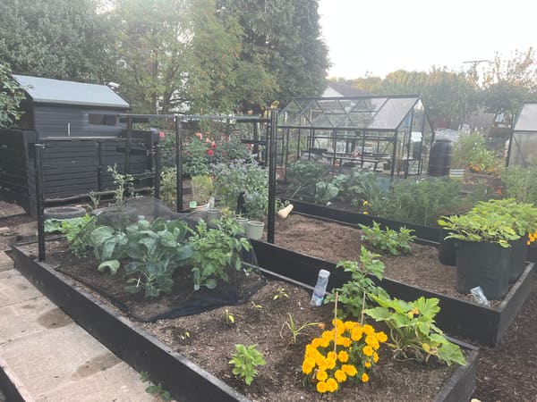 Greenhouse from London, GB