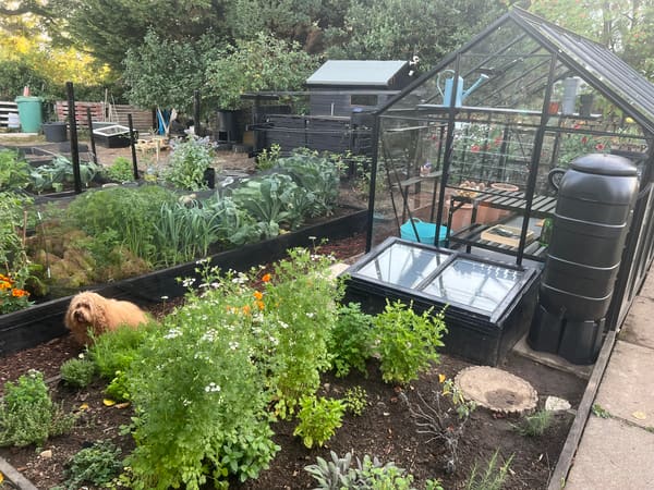 Greenhouse from London, GB