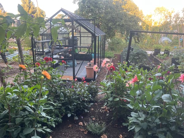 Greenhouse from London, GB