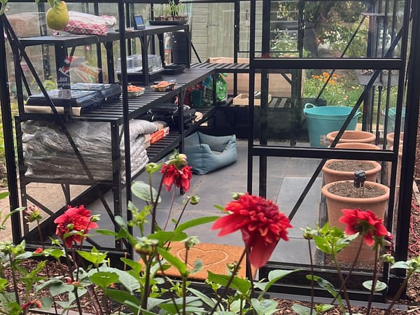 Greenhouse from London, GB