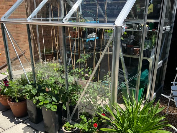Greenhouse from Whitstable, GB