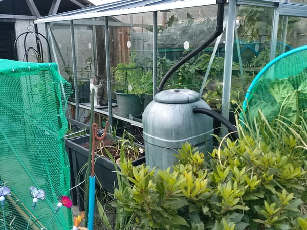 Greenhouse from United Kingdom