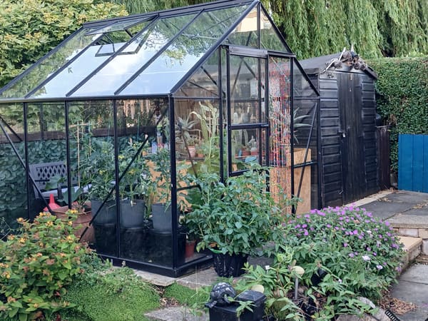 Greenhouse from Salford, GB