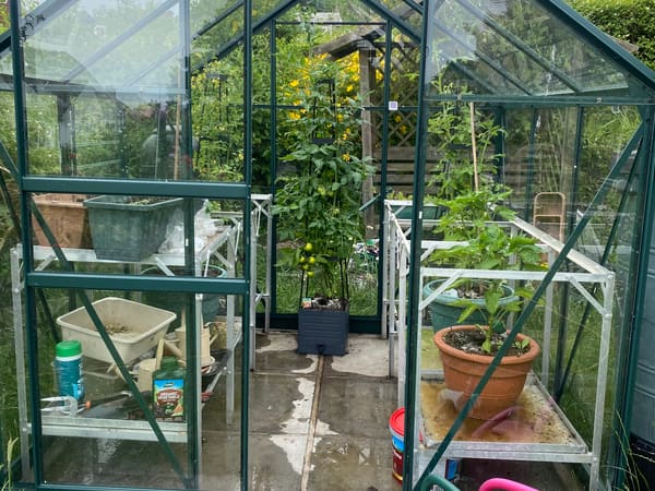 Greenhouse from Brighton, GB
