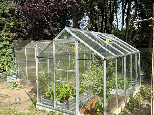 Greenhouse from Banstead, GB