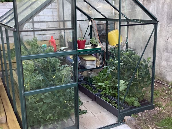 Customer greenhouse photo