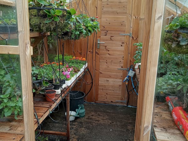Greenhouse from Martyr Worthy, United Kingdom