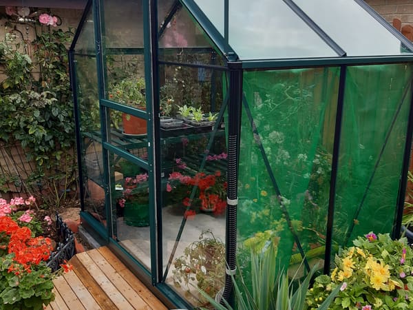 Greenhouse from Oldham, United Kingdom