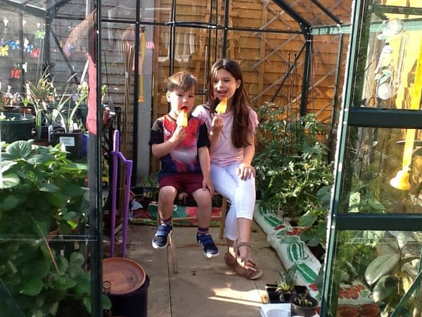 Customer greenhouse photo