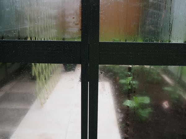 Customer greenhouse photo