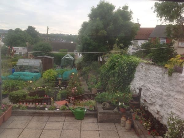 Customer greenhouse photo