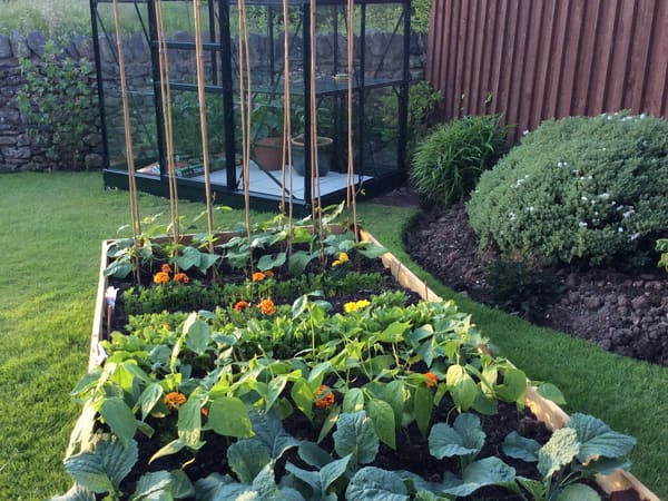 Customer greenhouse photo