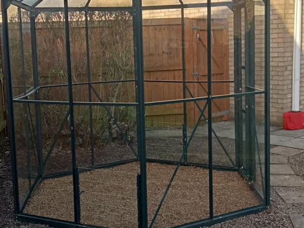 Greenhouse from Torquay, United Kingdom