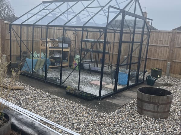Greenhouse from United Kingdom