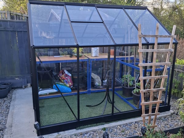 Greenhouse from Aberdeen, United Kingdom