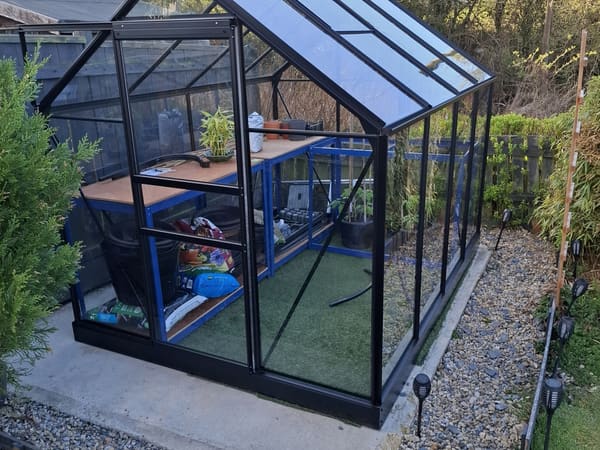 Greenhouse from Aberdeen, United Kingdom