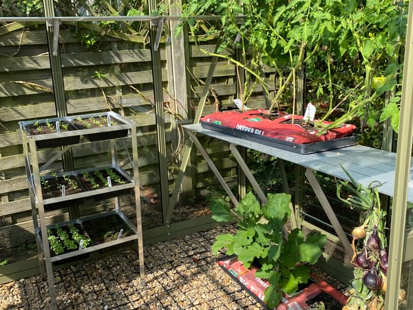 Customer greenhouse photo