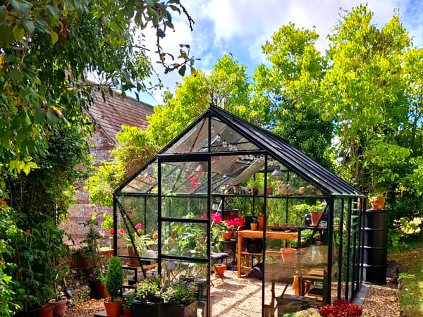 Greenhouse from Shaftesbury, GB