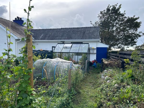 Greenhouse from Croydon, GB