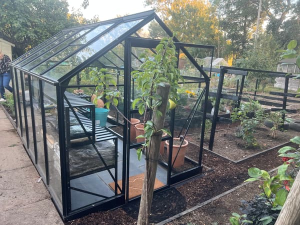 Greenhouse from London, GB