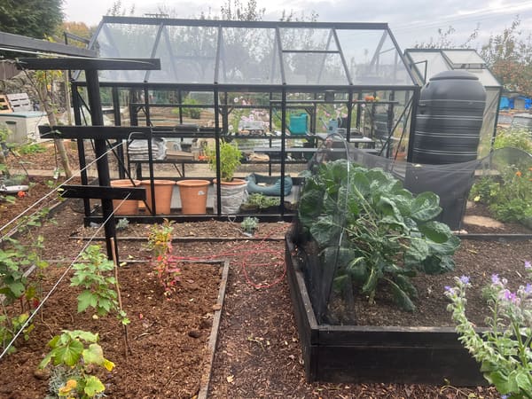 Greenhouse from London, GB
