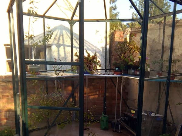 Customer greenhouse photo