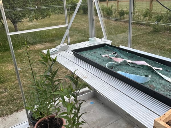 Customer greenhouse photo