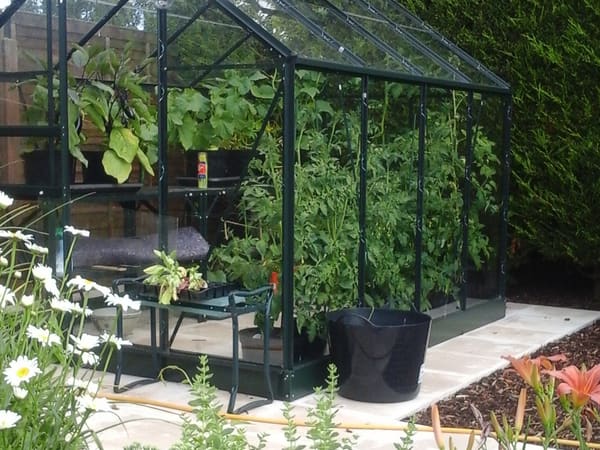 Customer greenhouse photo