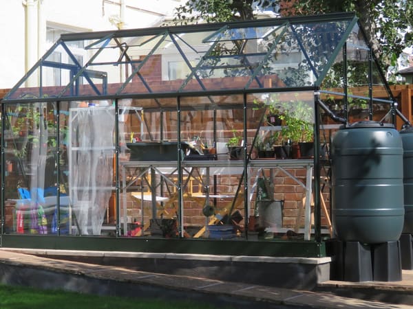 Customer greenhouse photo
