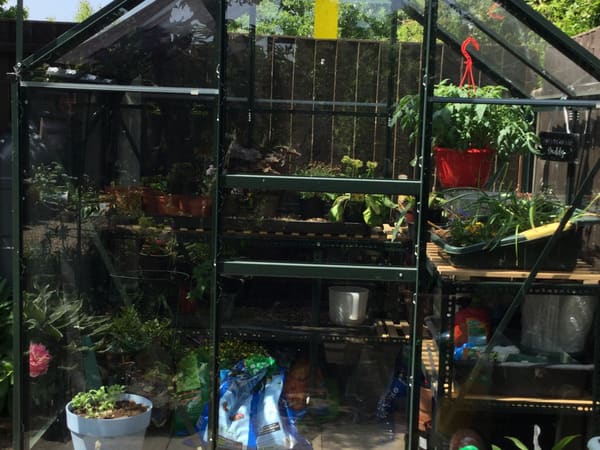 Customer greenhouse photo