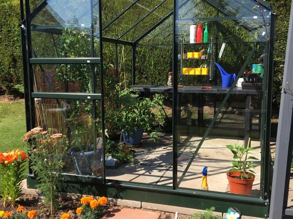 Customer greenhouse photo
