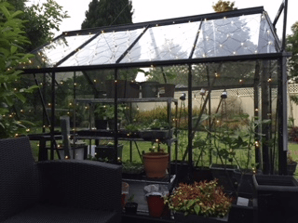 Customer greenhouse photo