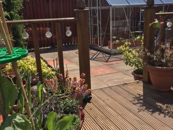 Customer greenhouse photo