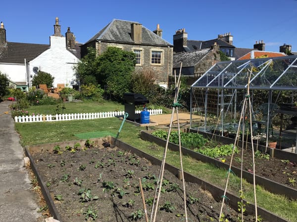 Customer greenhouse photo