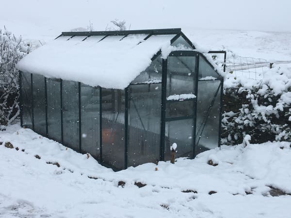 Customer greenhouse photo